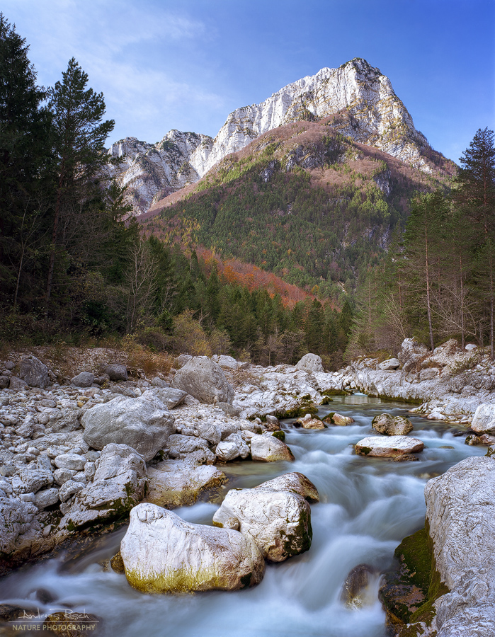 Koritnica